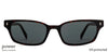 JJ S12042