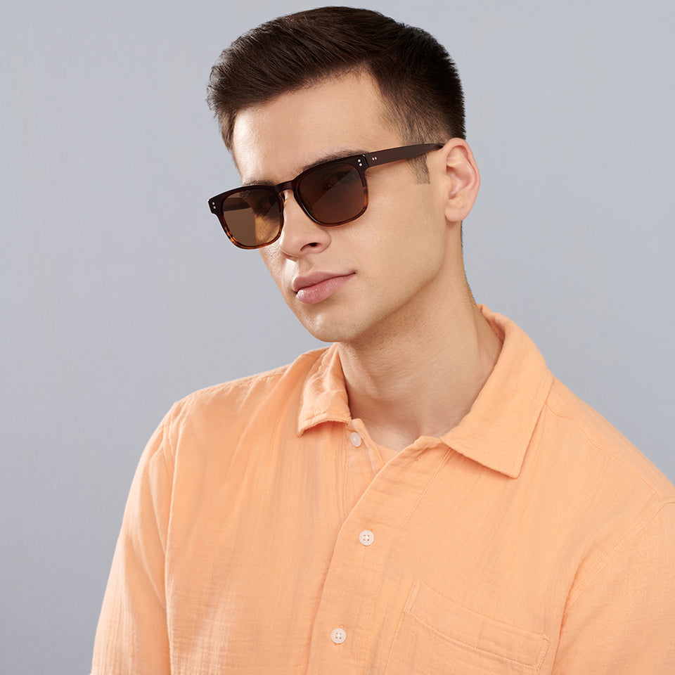 -Frame Wayfarer--SG
