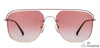 JJ S13799