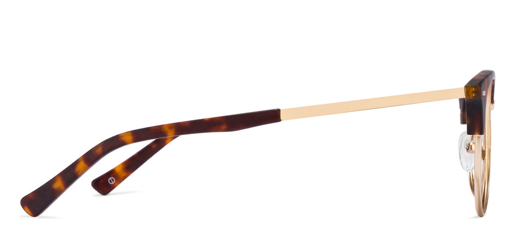 -Frame Clubmaster--EG