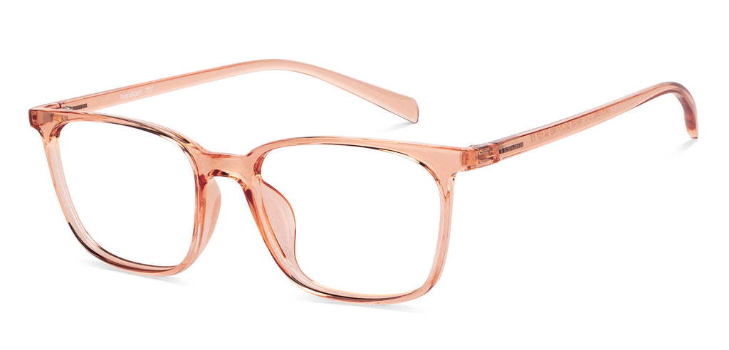 -Frame Wayfarer--EG
