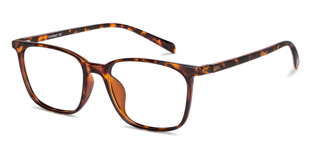 -Frame Wayfarer--EG