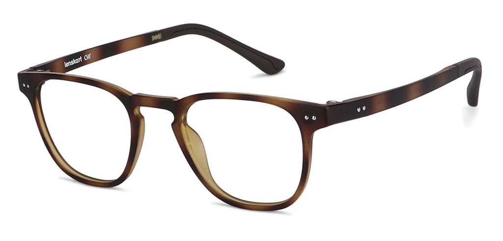 -Frame Wayfarer--EG