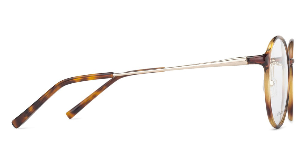 Transition Eyeglasses-Frame Round--EG