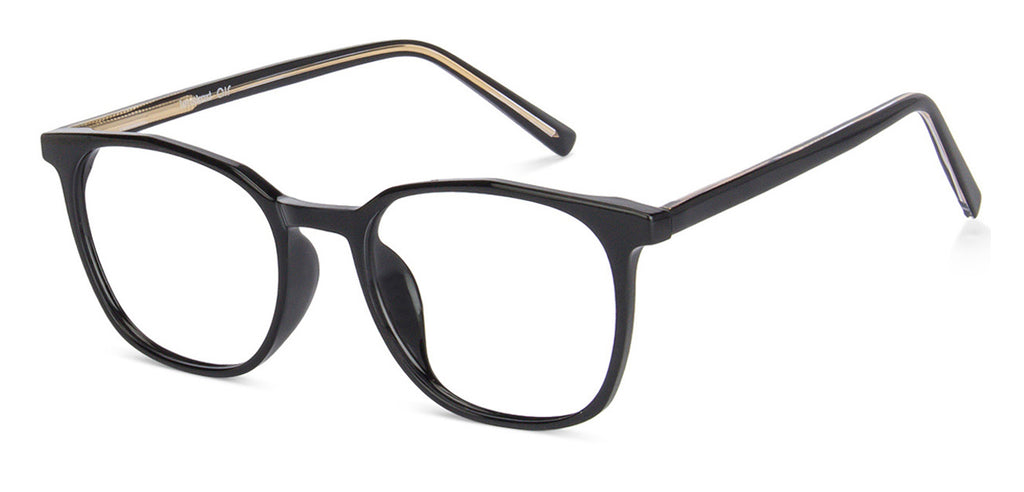 -Frame Wayfarer--EG
