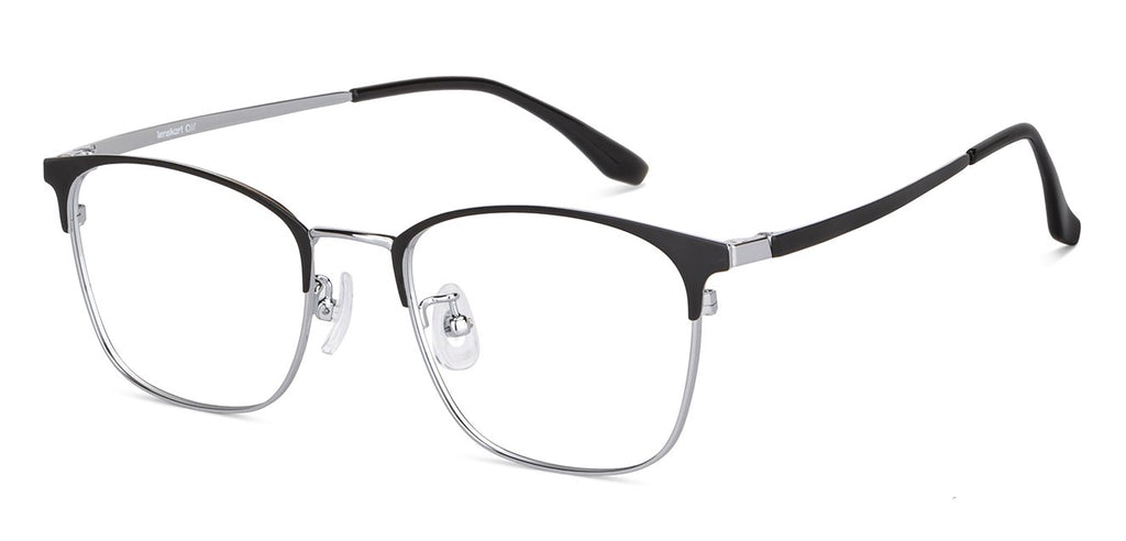 -Frame Wayfarer--EG