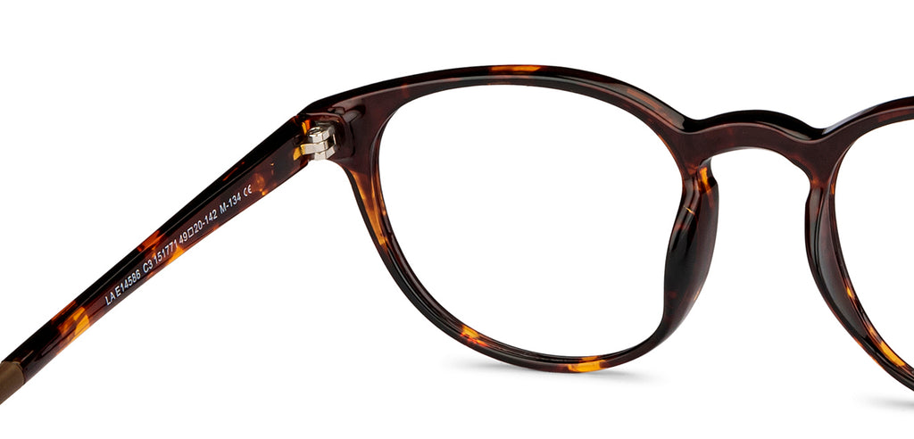 Transition Eyeglasses-Frame Round--EG