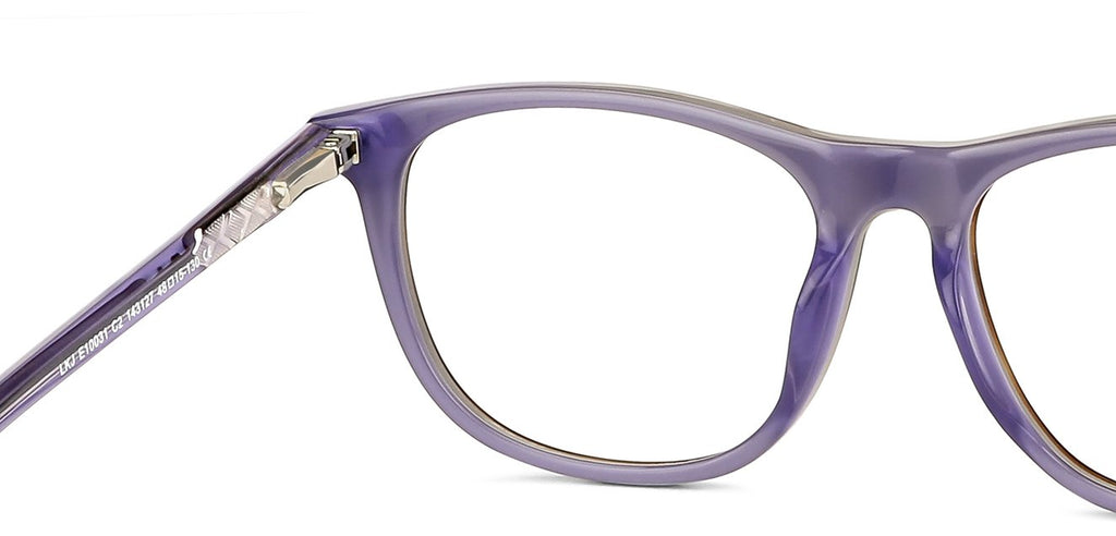 -Frame Wayfarer--EG