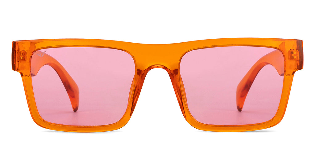 Wayfarer Sunglasses-Frame Wayfarer--SG