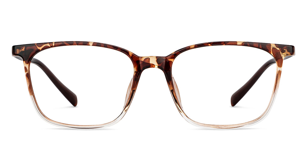 -Frame Wayfarer--EG