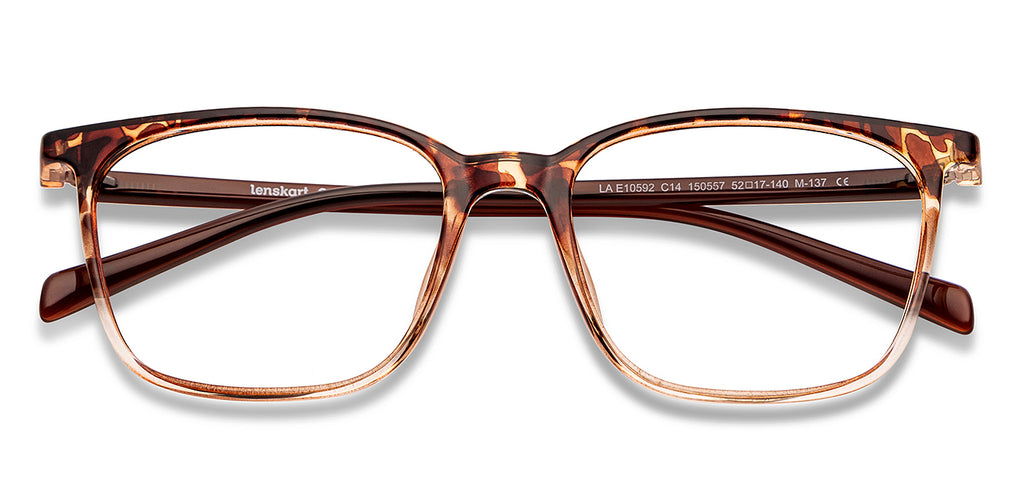 -Frame Wayfarer--EG