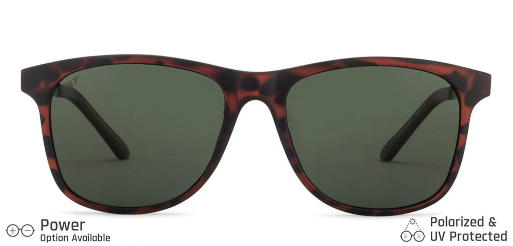 Sunglasses For Women-Frame Wayfarer--SG