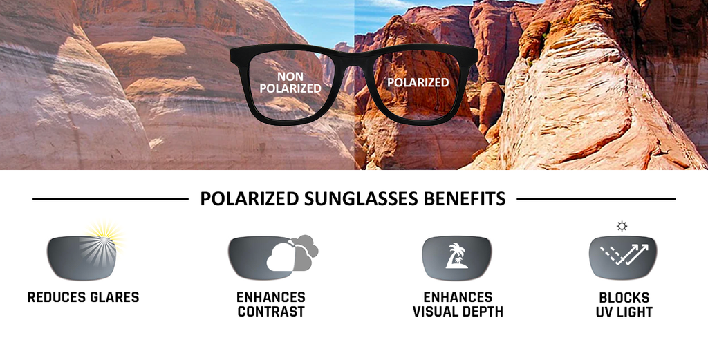 Wayfarer Sunglasses-Frame Wayfarer--SG