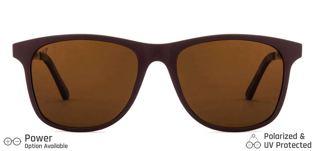 Wayfarer Sunglasses-Frame Wayfarer--SG