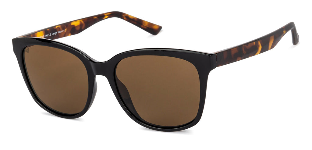 -Frame Wayfarer--SG