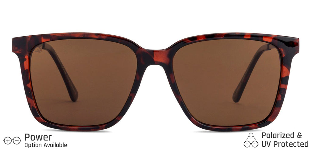 -Frame Wayfarer--SG