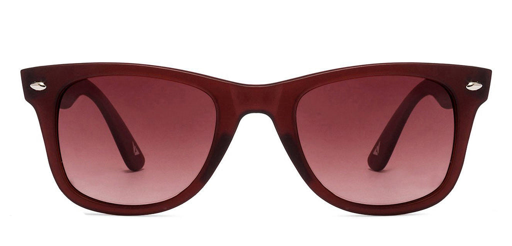 -Frame Wayfarer--SG