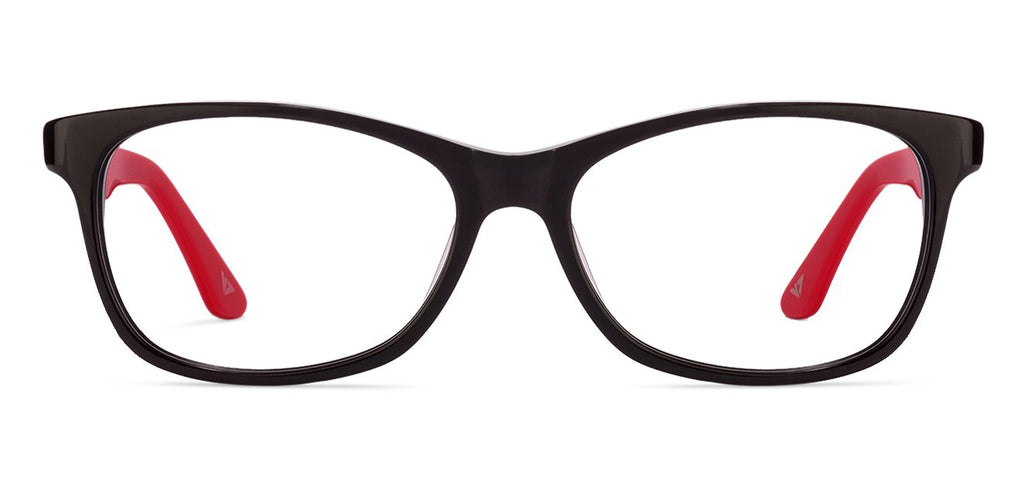 -Frame Wayfarer--EG