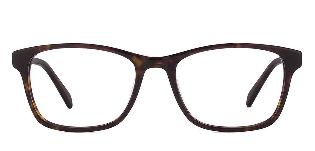 -Frame Wayfarer--EG