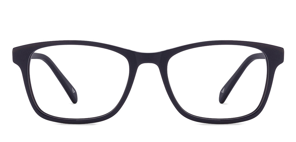 -Frame Wayfarer--EG