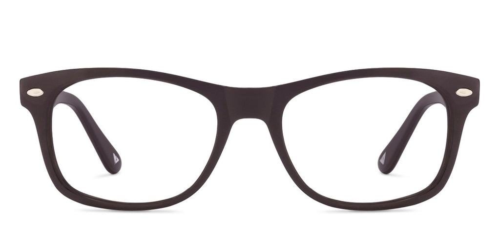 -Frame Wayfarer--EG