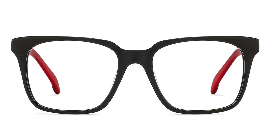 -Frame Wayfarer--EG