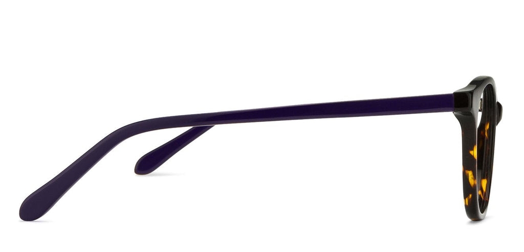 -Frame Wayfarer--EG
