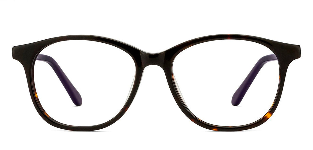 -Frame Wayfarer--EG