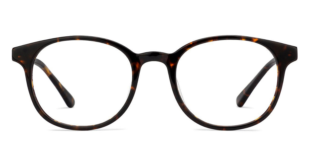 Magnetic Clip On Glasses-Round--EG