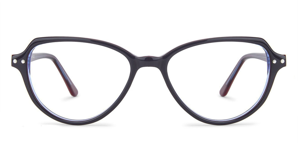 -Frame Geometric--EG