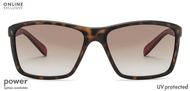 -Frame Wayfarer--SG