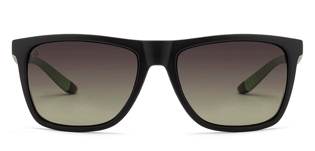 -Frame Wayfarer--SG