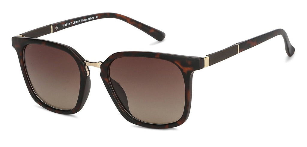 -Frame Wayfarer--SG