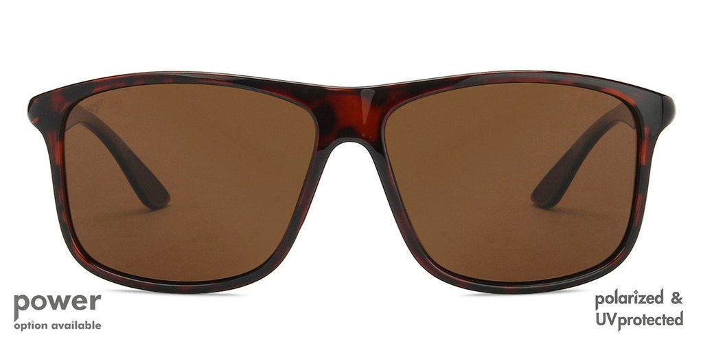-Frame Wayfarer--SG