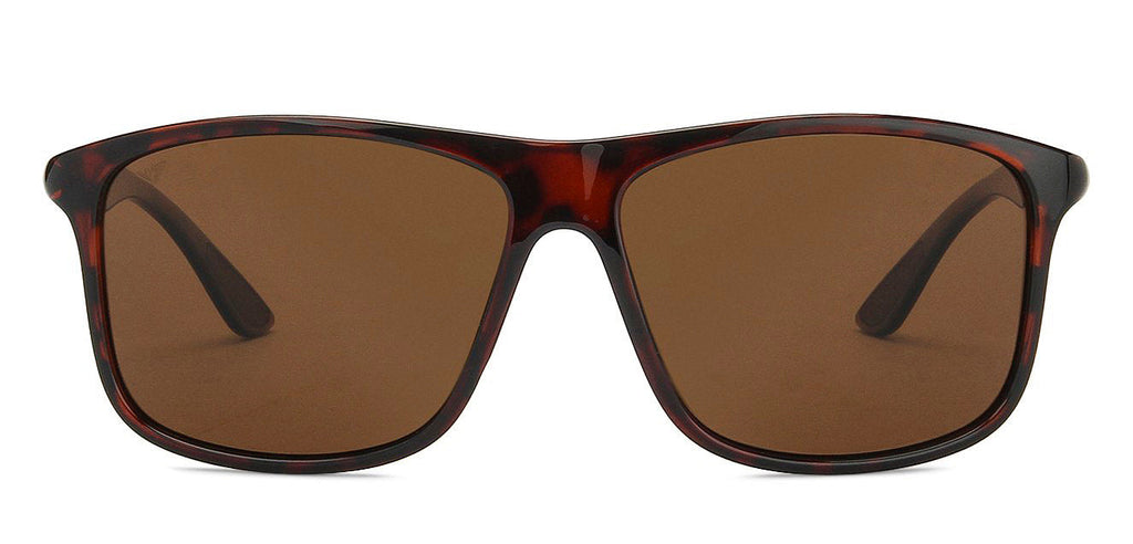 -Frame Wayfarer--SG