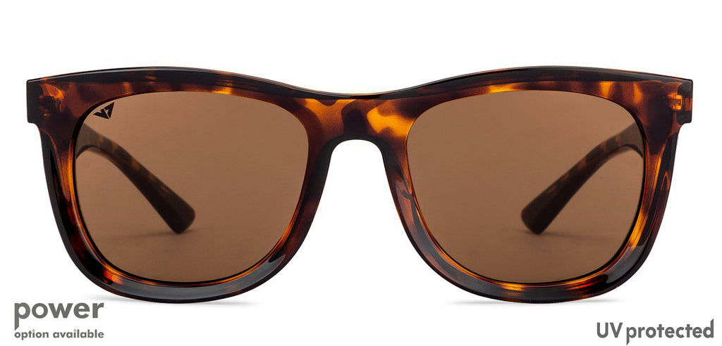 -Frame Wayfarer--SG
