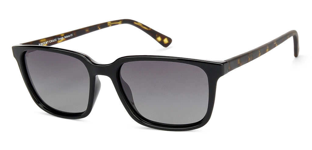 -Frame Wayfarer--SG