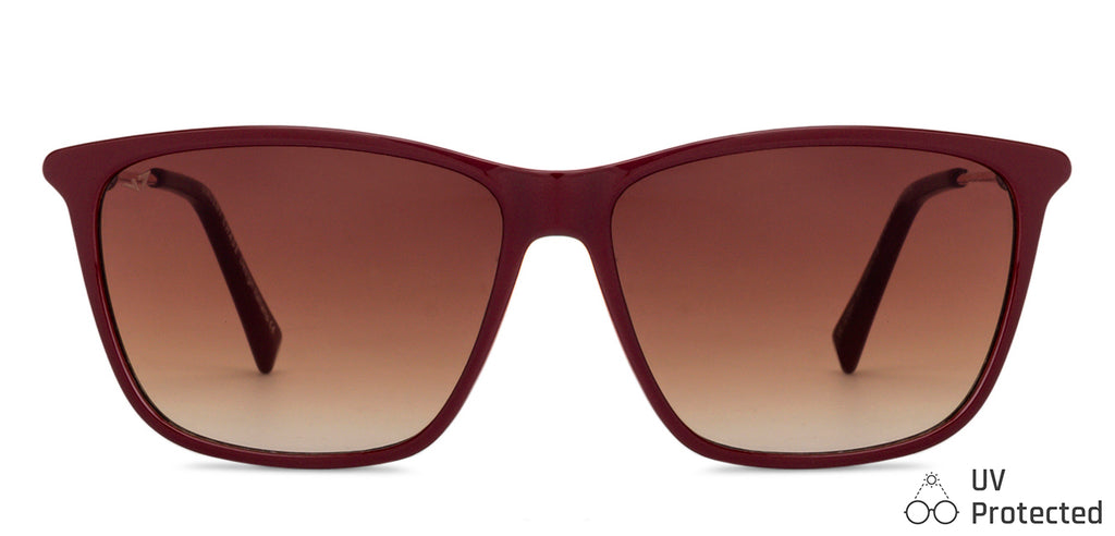 -Frame Wayfarer--SG