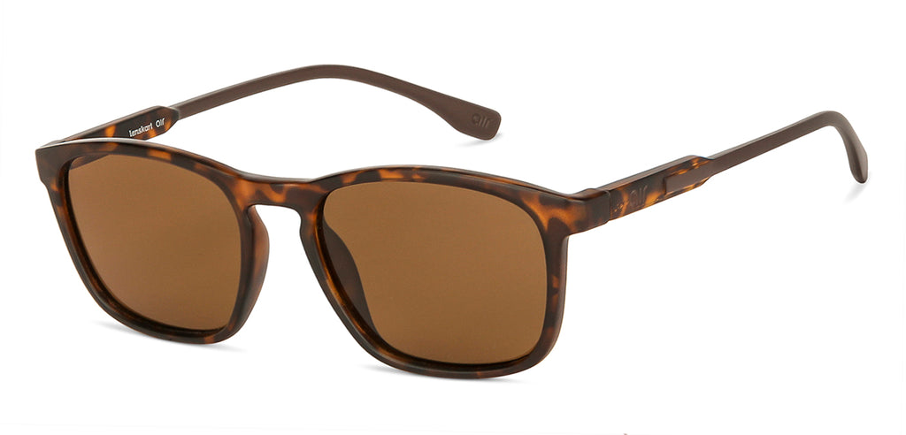 -Frame Wayfarer--SG