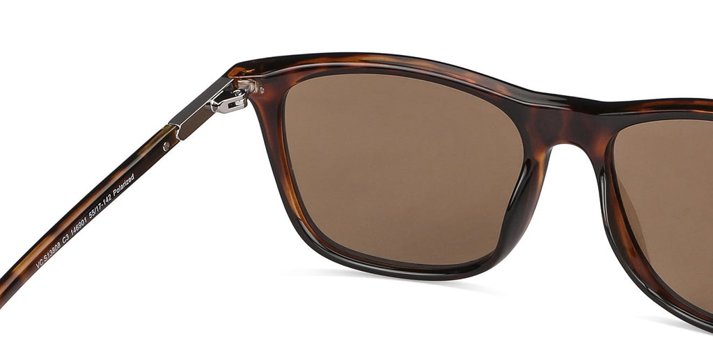 -Frame Wayfarer--SG