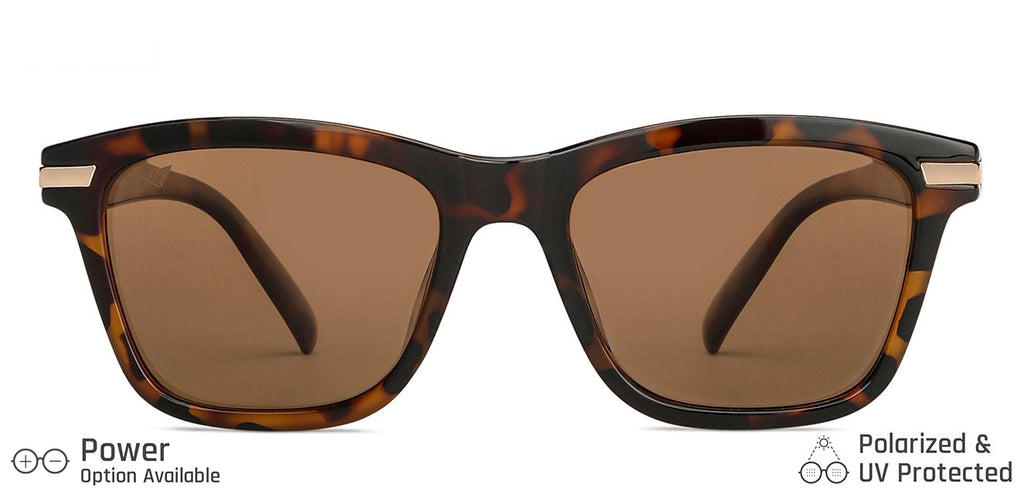 -Frame Wayfarer--SG