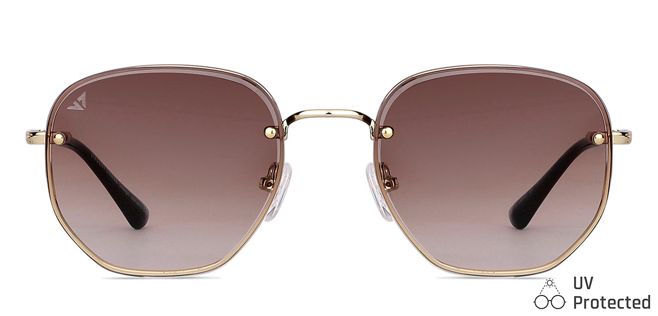 VC S13843